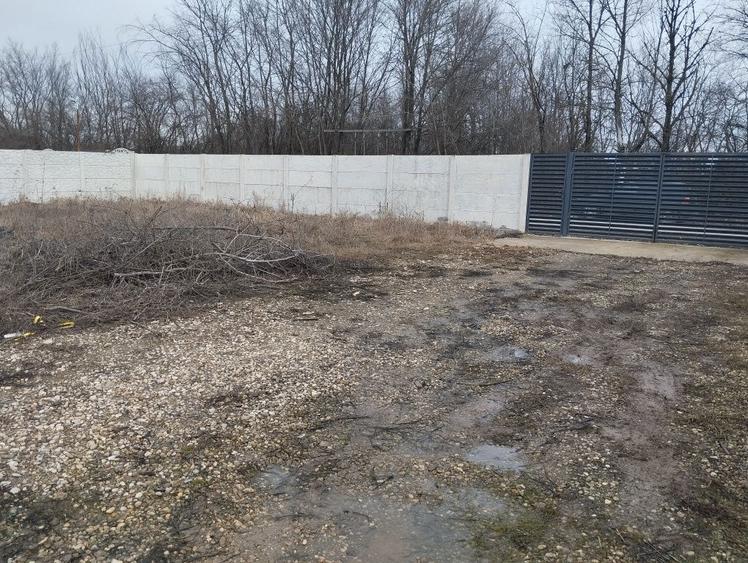 De vinzare Teren intravilan- COLANU- ULMI - 8