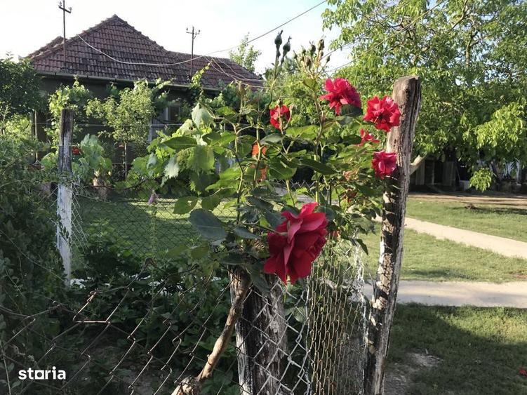 Casa cu 2 camere, teren 1900 mp, zona linistita - 8