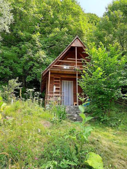 Proprietate pe Valea Vâlsanului – Cabane din lemn + Casă ecologică COB - 10