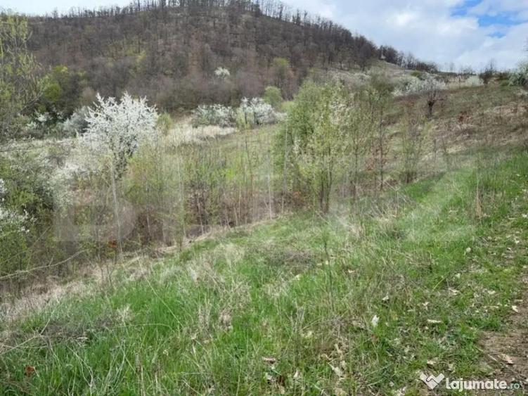 Vand 17 ha teren extravilan, Carmazanesti - 1