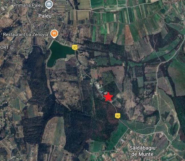 Teren de vanzare in Paleu - Saldabagiu la asfalt, gaze si electricitate - 4