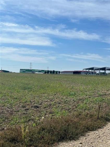 RECO Teren intravilan  industrial 6502 mp -FRONT 74 ML -centura Biharia - 1