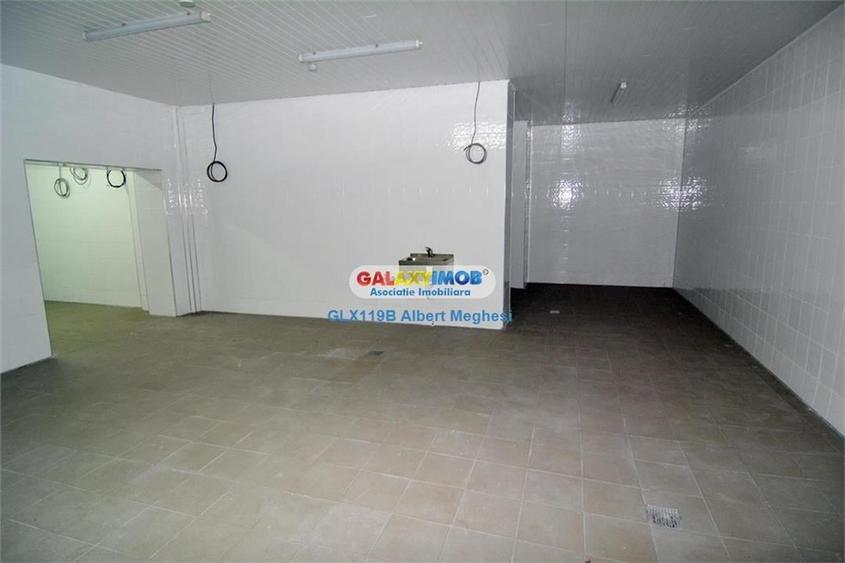 Inchiriere vanzare spatiu productie alimentara P-ta Delfinului - 5