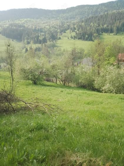 Vand teren in com.Vidra jud.Alba. - 6