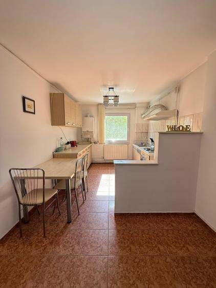 Apartament 4 camere, boxa+garaj - zona ultracentrala Timisoara - 2