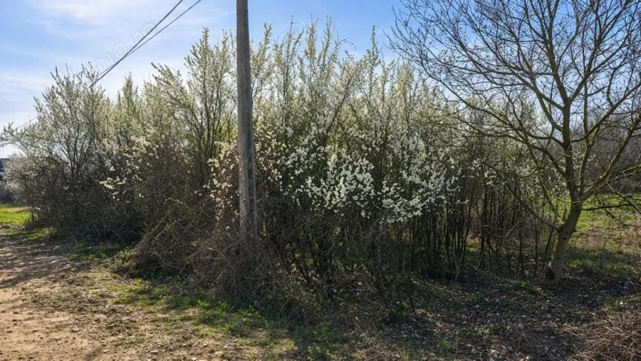 Teren intravilan, 1080 mp, Lipova - 1