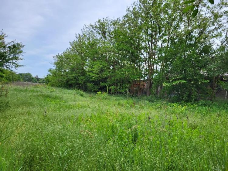 Teren de vânzare – oportunitate cu potențial investițional - 3