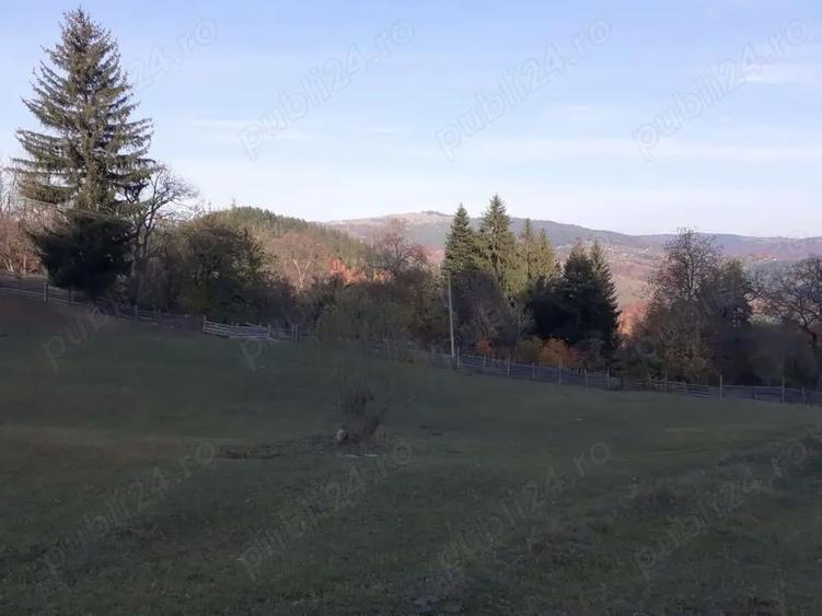 Teren intravilan in Nereju, Vrancea - 5