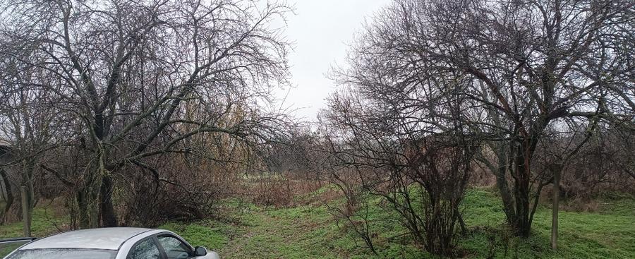 Teren Intravilan Draganesti-Olt 1649mp - 1