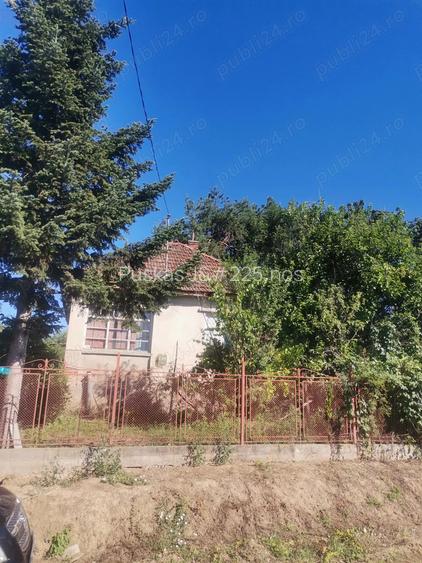 Casa de vanzare Viile Satu Mare Casa de vanzare Viile Satu Mare