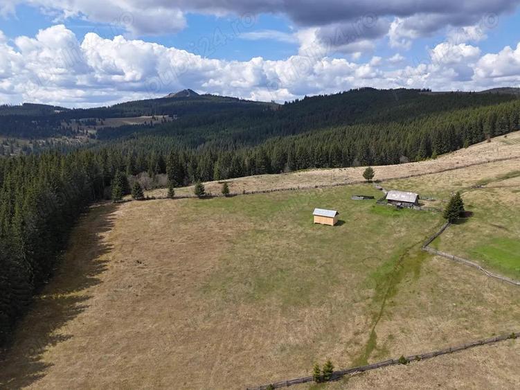 Teren de vanzare 15 hectare in Bucovina Moldova Sulita zona Lucina - 7