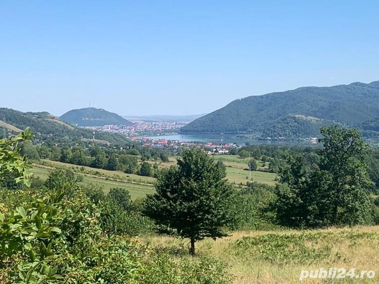 Teren de 10000 mp, în Alexandru cel Bun