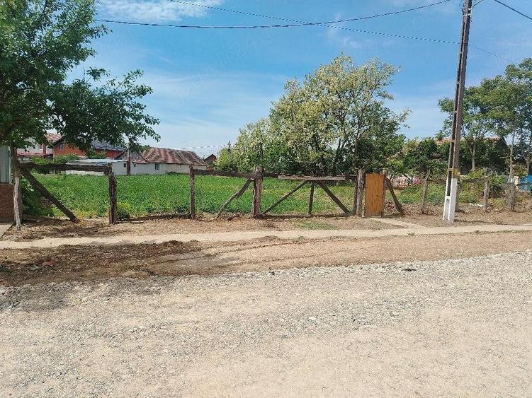 Teren de 1200 mp, în Sânnicolau Român
