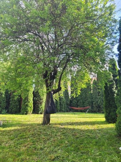 Casă cu 1 camere cu Teren 100 Mp în Central
