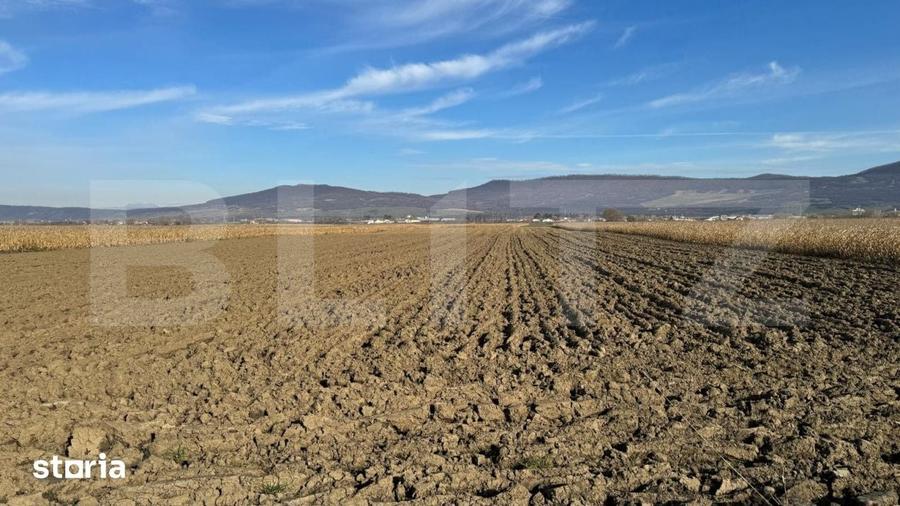 Teren de 5300 mp, în Central