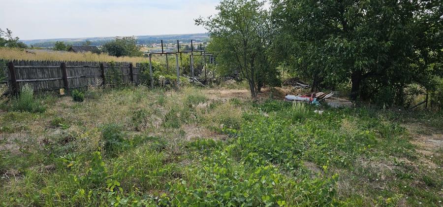 Teren de 8000 mp, în Goiești