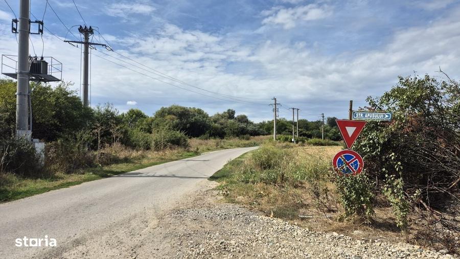 Teren intravilan 700 mp la asfalt in Orasul Magurele - 1