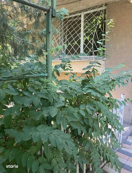 Ofer spre inchiriere apartament 3 camere - 1