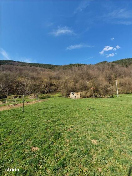 Teren de 6100 mp, în Bulz