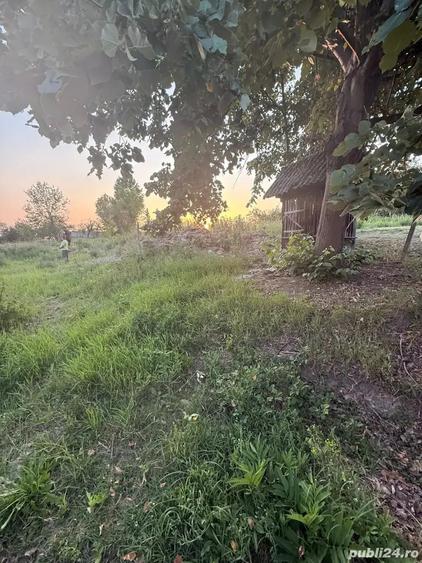Casă cu 2 camere în Buteni