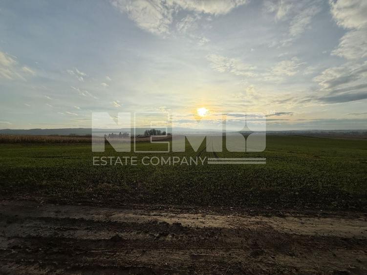 Teren agricol extravilan de 12400000 mp, în Grănicești