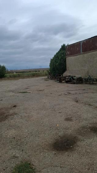 Teren de 3700 mp, în Poiana