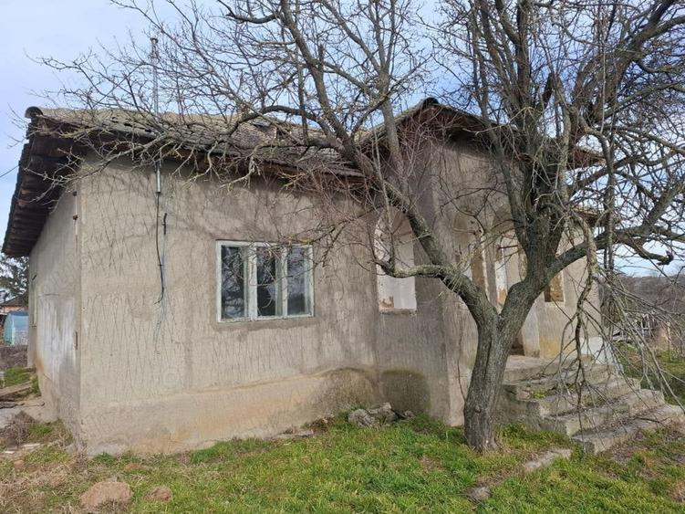 Casă cu 4 camere cu Teren 5000 Mp în Central