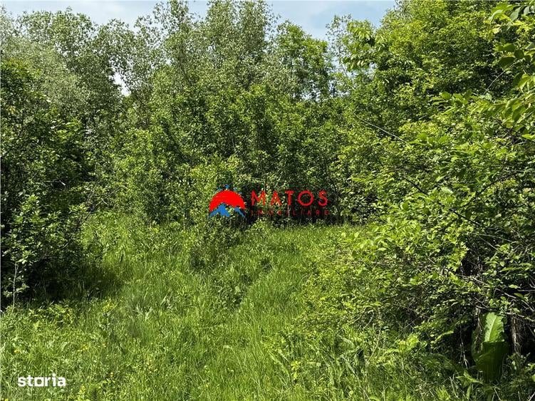 Teren intravilan 1.300 mp in Cornu de Jos, Prahova zona linistita, u - 6
