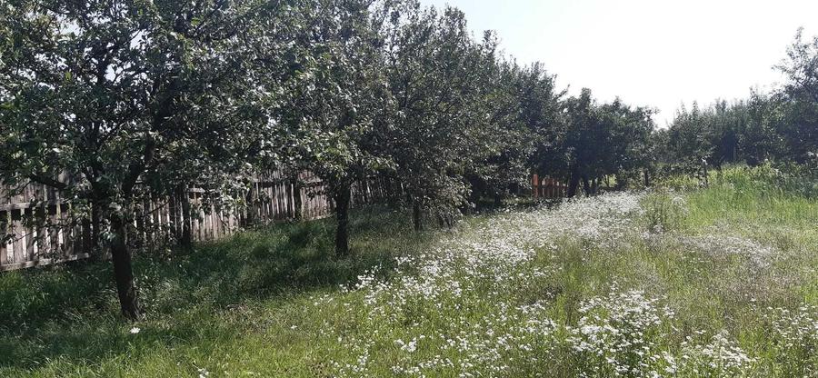 Teren de 1769 mp, în Central