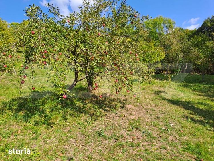 Casă cu 2 camere cu Teren 10000 Mp în Almașu Mare