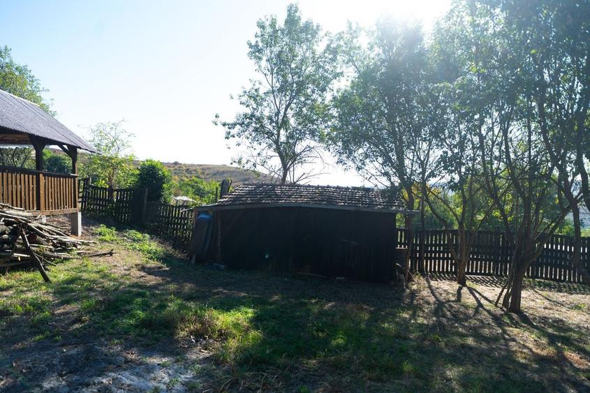 Teren Construcții intravilan de 11400 mp, în Corpadea