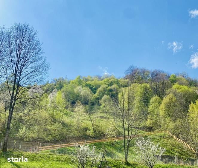 Teren de 4360 mp, în Valea Doftanei