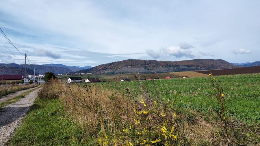 Teren agricol intravilan de 750 mp, în Gârcina