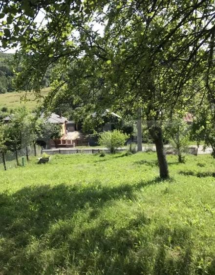Teren Construcții intravilan de 1000 mp, în Băbana