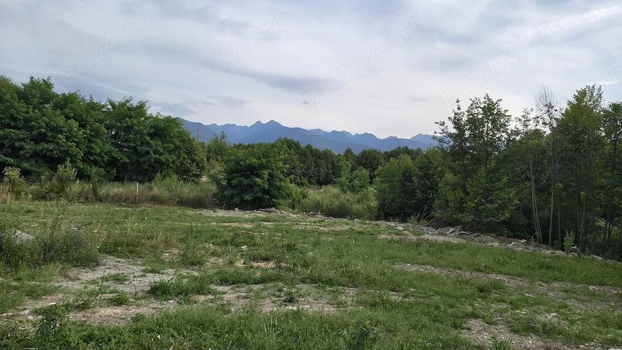 Teren de 1100 mp, în Arpașu de Sus