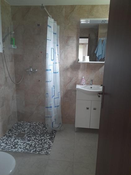 Casă cu 4 camere cu Teren 5000 Mp în Arpașu de Sus