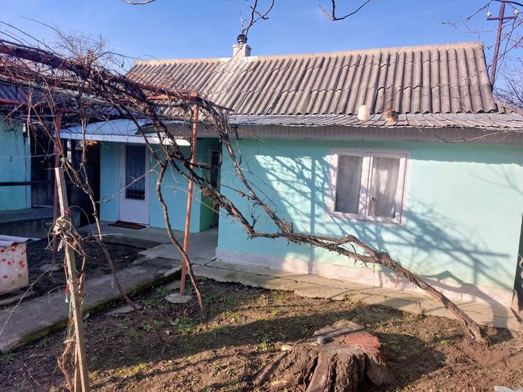 Casă cu 3 camere în Soci