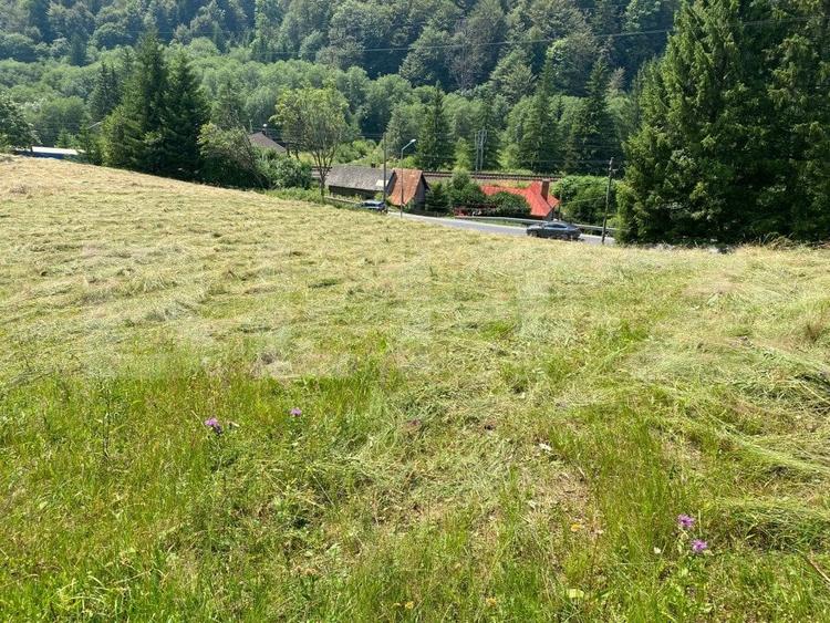 Teren Construcții intravilan de 9975 mp, în Predeal