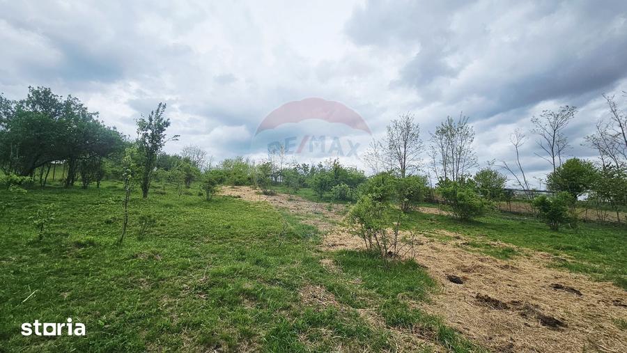 Teren de 5350 mp, în Dobreni