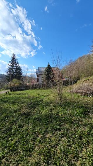 Teren Construcții intravilan de 1800 mp, în Brebu Megieșesc