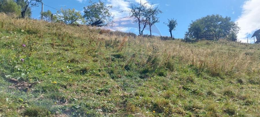 Teren agricol intravilan de 4608 mp, în Măgura