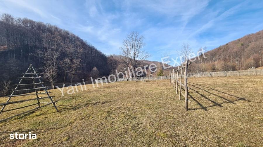Teren de 4681 mp, în Cicănești