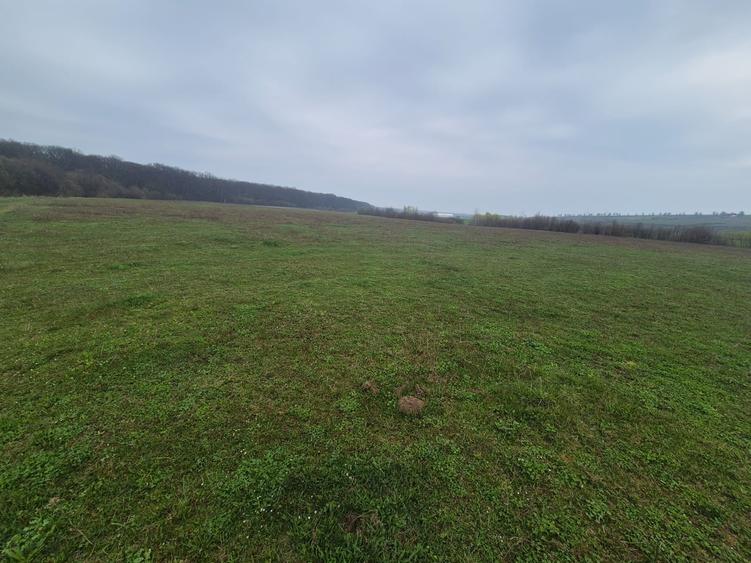 Teren extravilan de 10070 mp, în Lipoveni