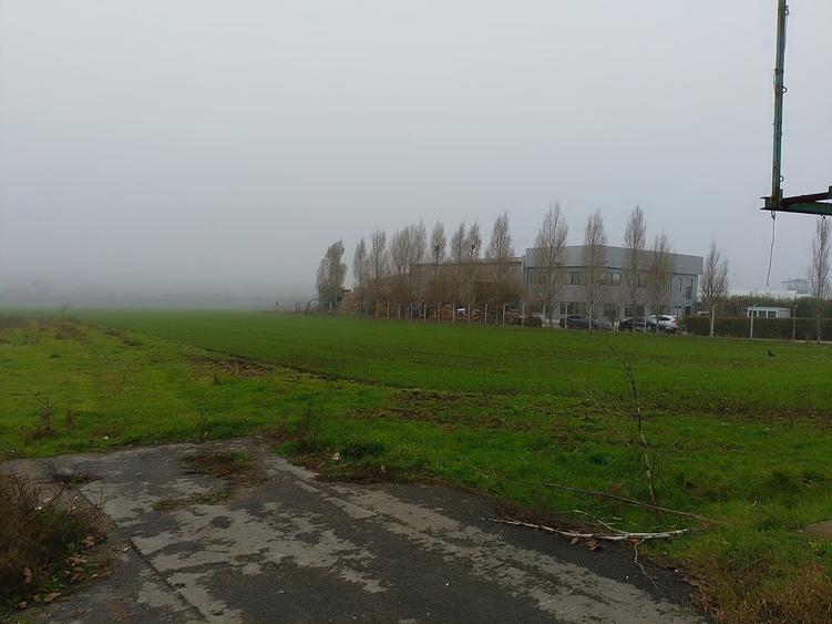 Teren Construcții intravilan de 10000 mp, în Lumina