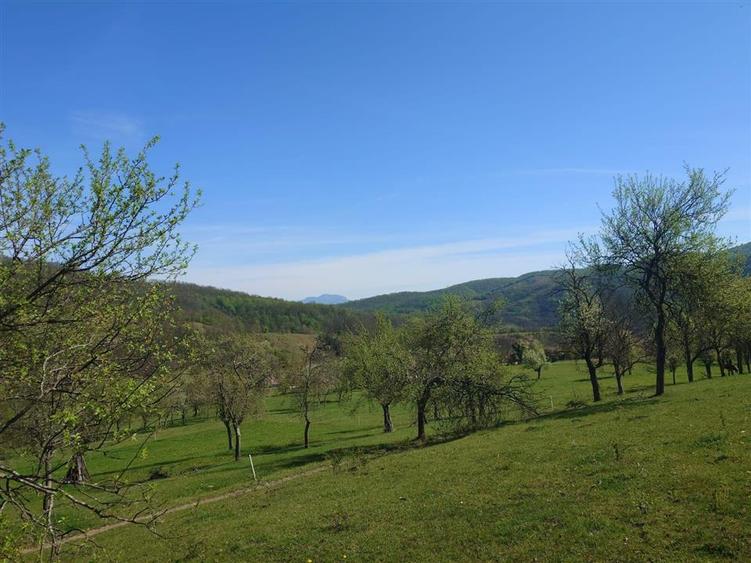 Teren intravilan de 11423 mp, în Luncoiu de Jos