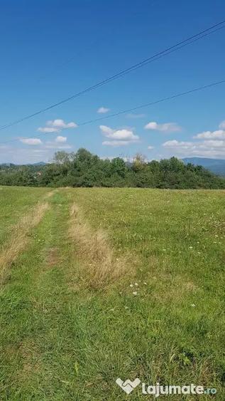 Rus, 1 ha teren extrav. - Dumbravita (Maramures) - 4