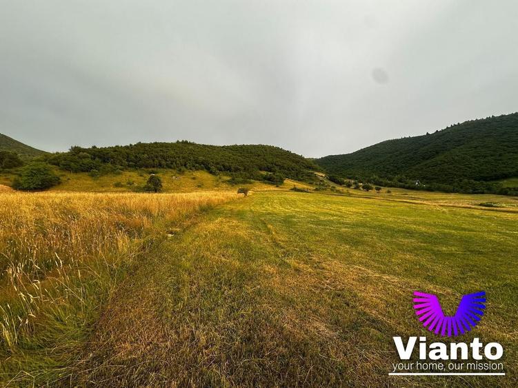 Teren agricol extravilan de 3408 mp, în Gura Râului