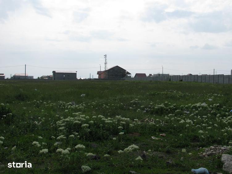 Teren Intravilan Premium | Bragadiru - Sos. Alexandriei - 4