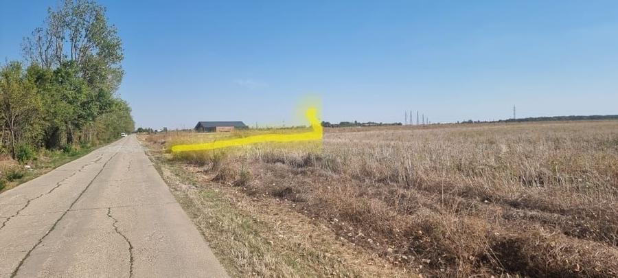 Teren agricol intravilan de 10000 mp, în Tâncăbești