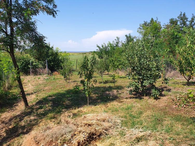Teren Construcții intravilan de 1000 mp, în Poienarii Burchii